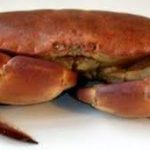 Croûte au crabe