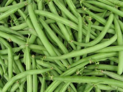 Haricots Verts